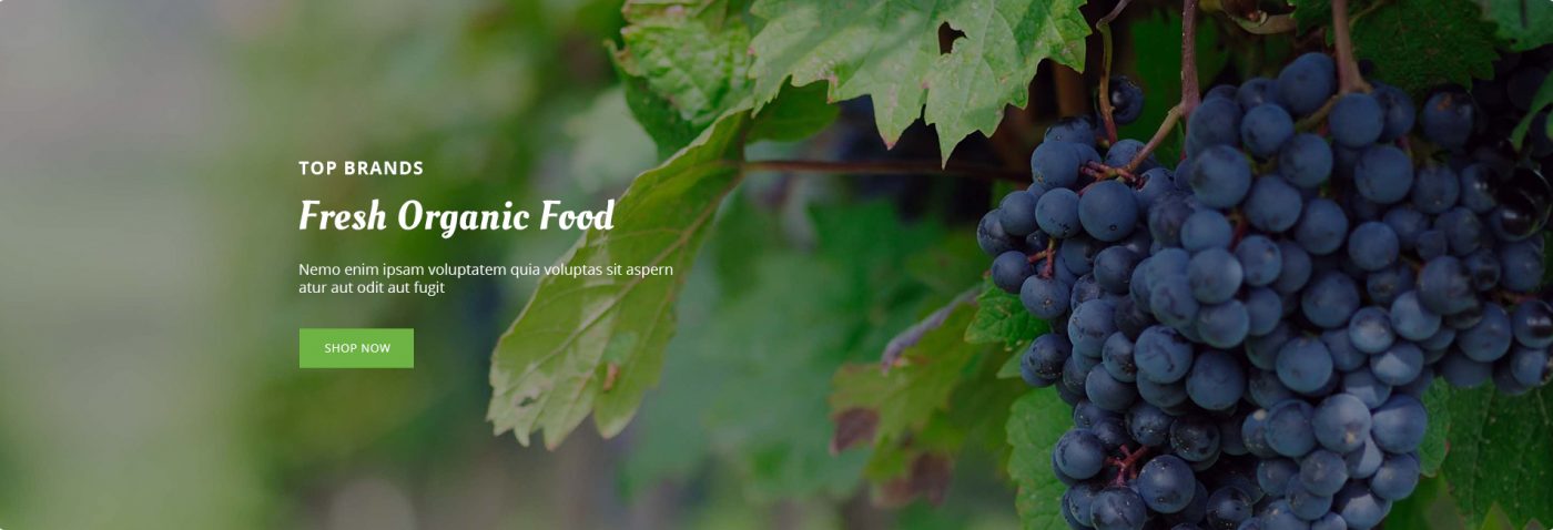 Global Nutrition